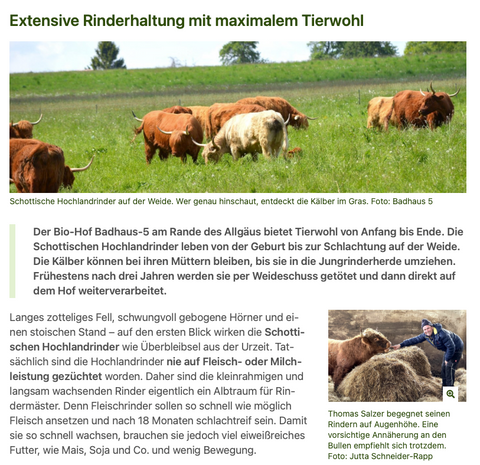 Extensive Rinderhaltung mit maximalem Tierwohl