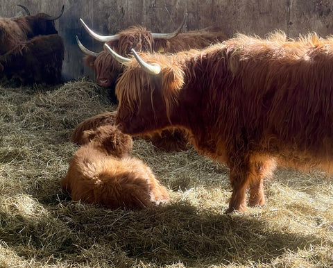 Unser Hofladen ist freitags von 14.00 bis 18.00 Uhr geöffnet!
